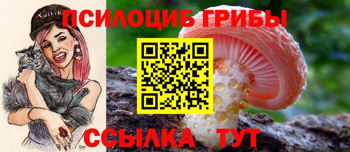 Галлюциногенные грибы прущие грибы Черняховск