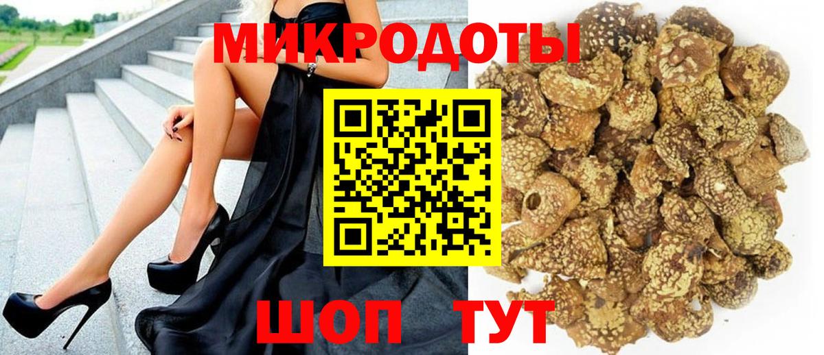 Галлюциногенные грибы Psilocybe  Галлюциногенные грибы мицелий  наркошоп  Черняховск  Вход с VPN 